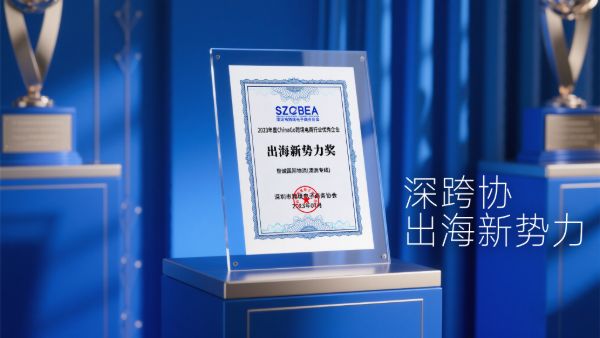 跨境电商出海新势力